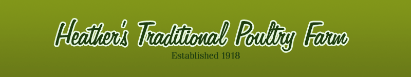 Heather's Traditional Poultry Farm